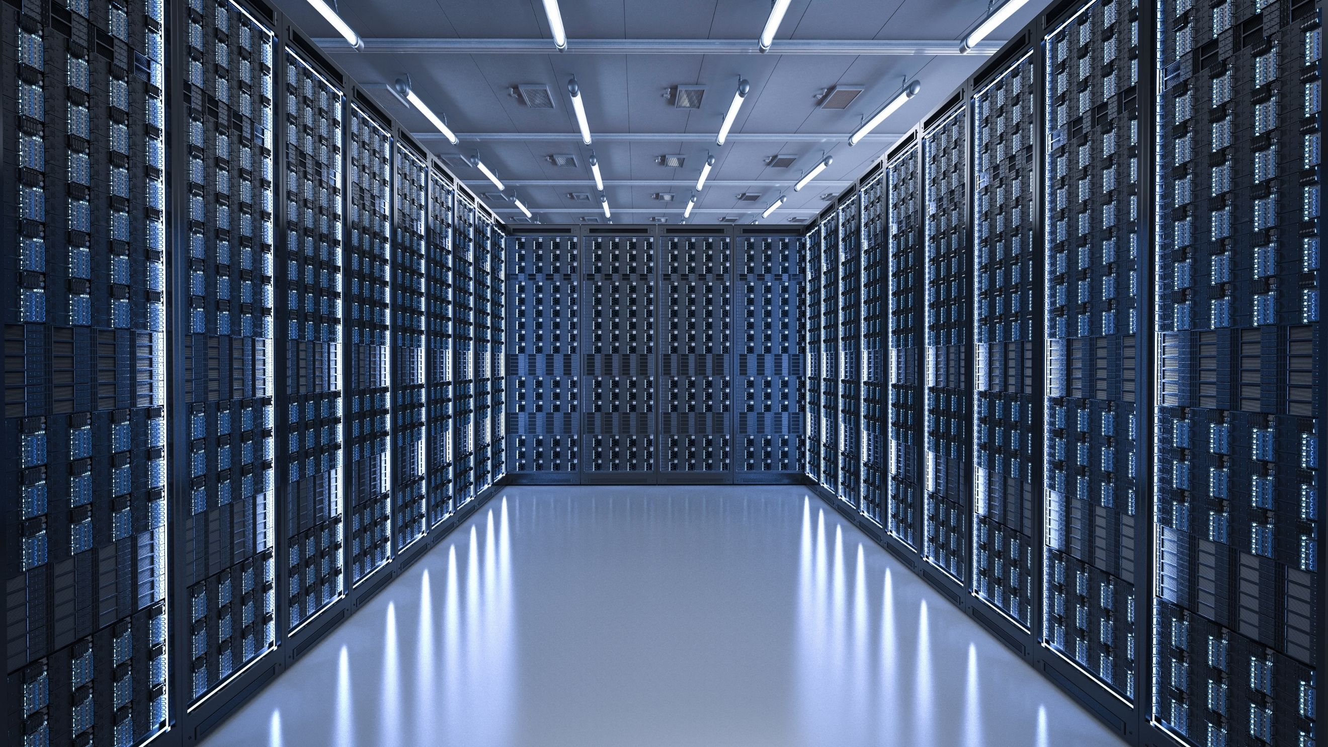 Web Hosting